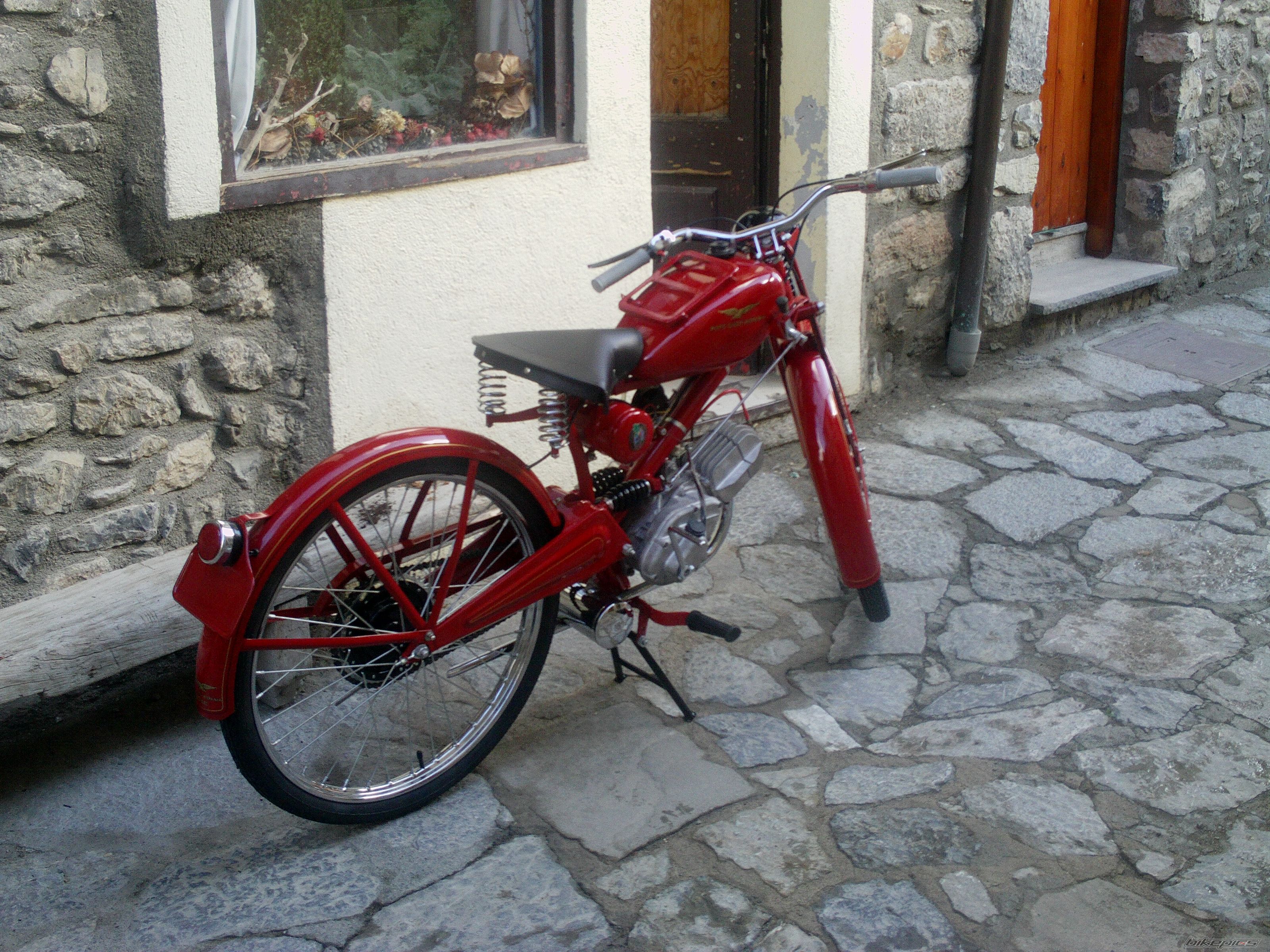 Photo 1920846
