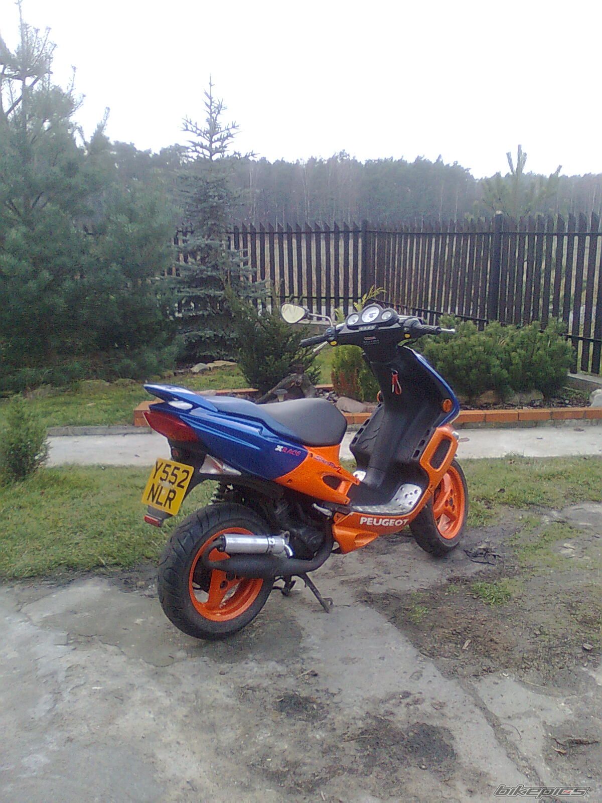 Photo 1920853