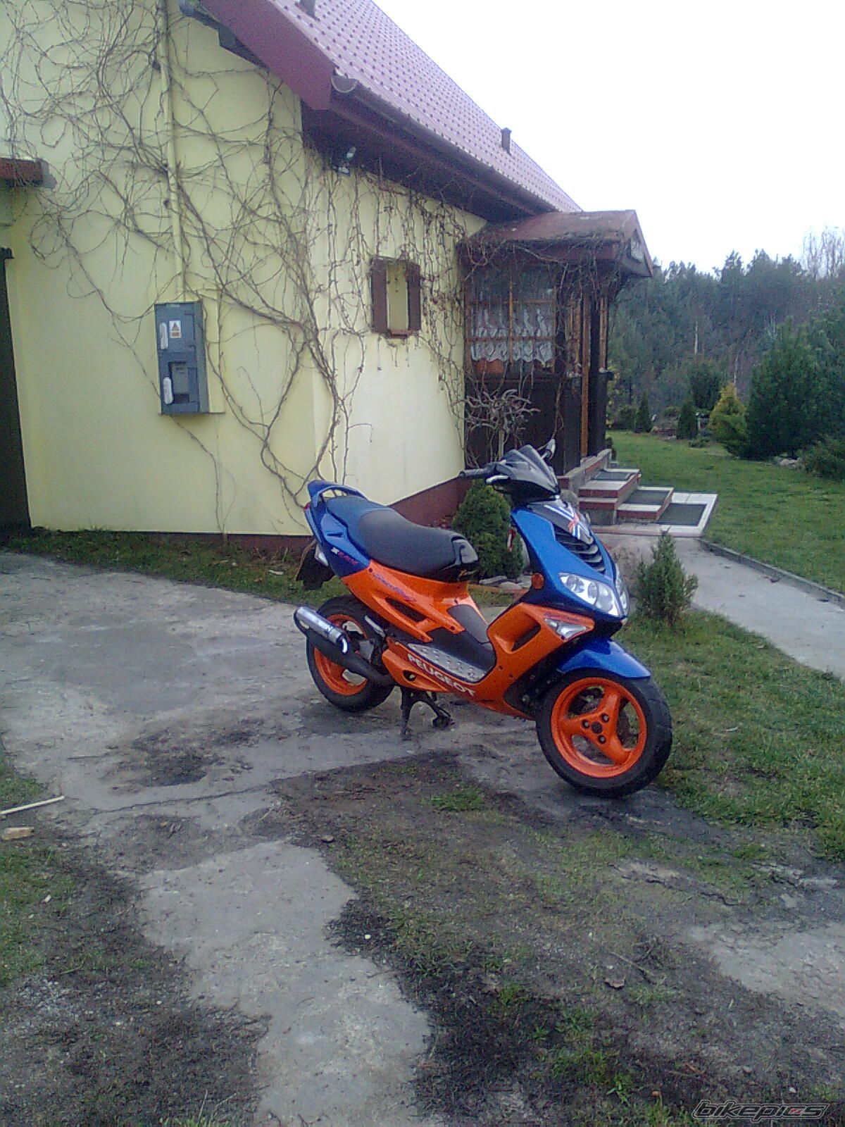 Photo 1920856