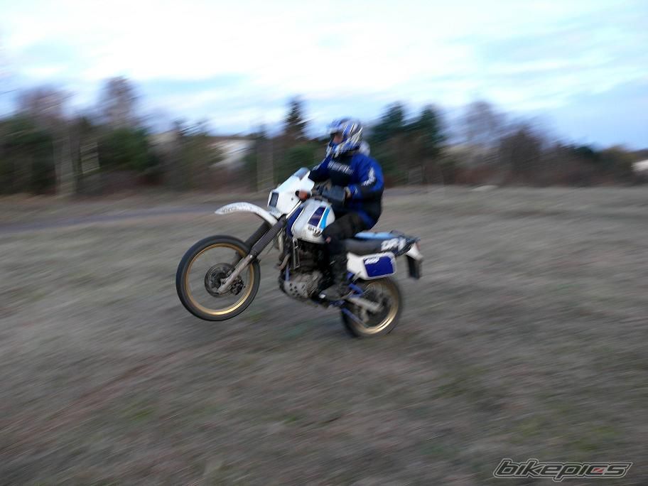 Photo 1920924
