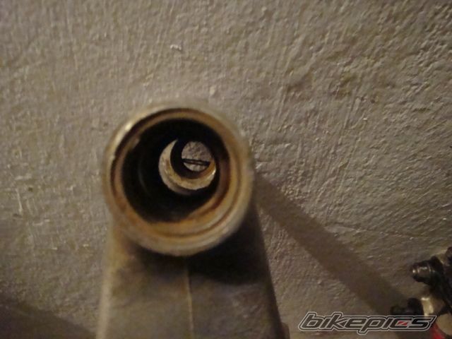 Photo 1921001