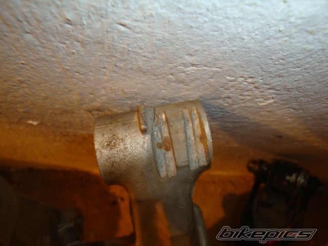 Photo 1921005