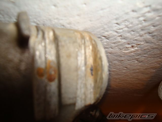 Photo 1921008