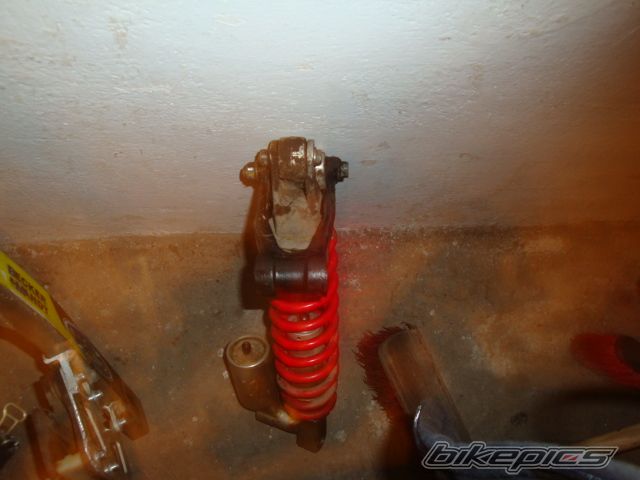 Photo 1921009