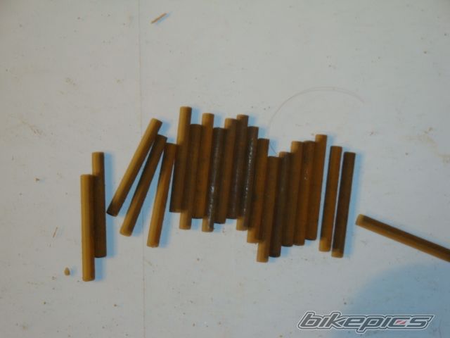 Photo 1921011