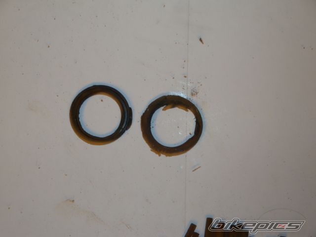 Photo 1921013