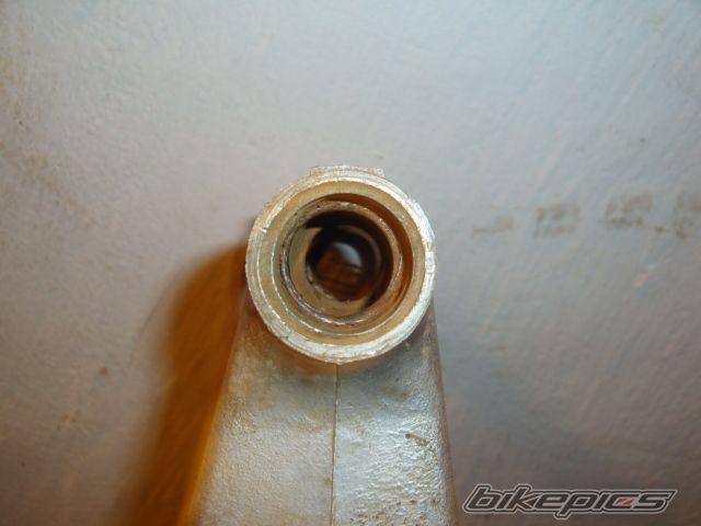 Photo 1921017