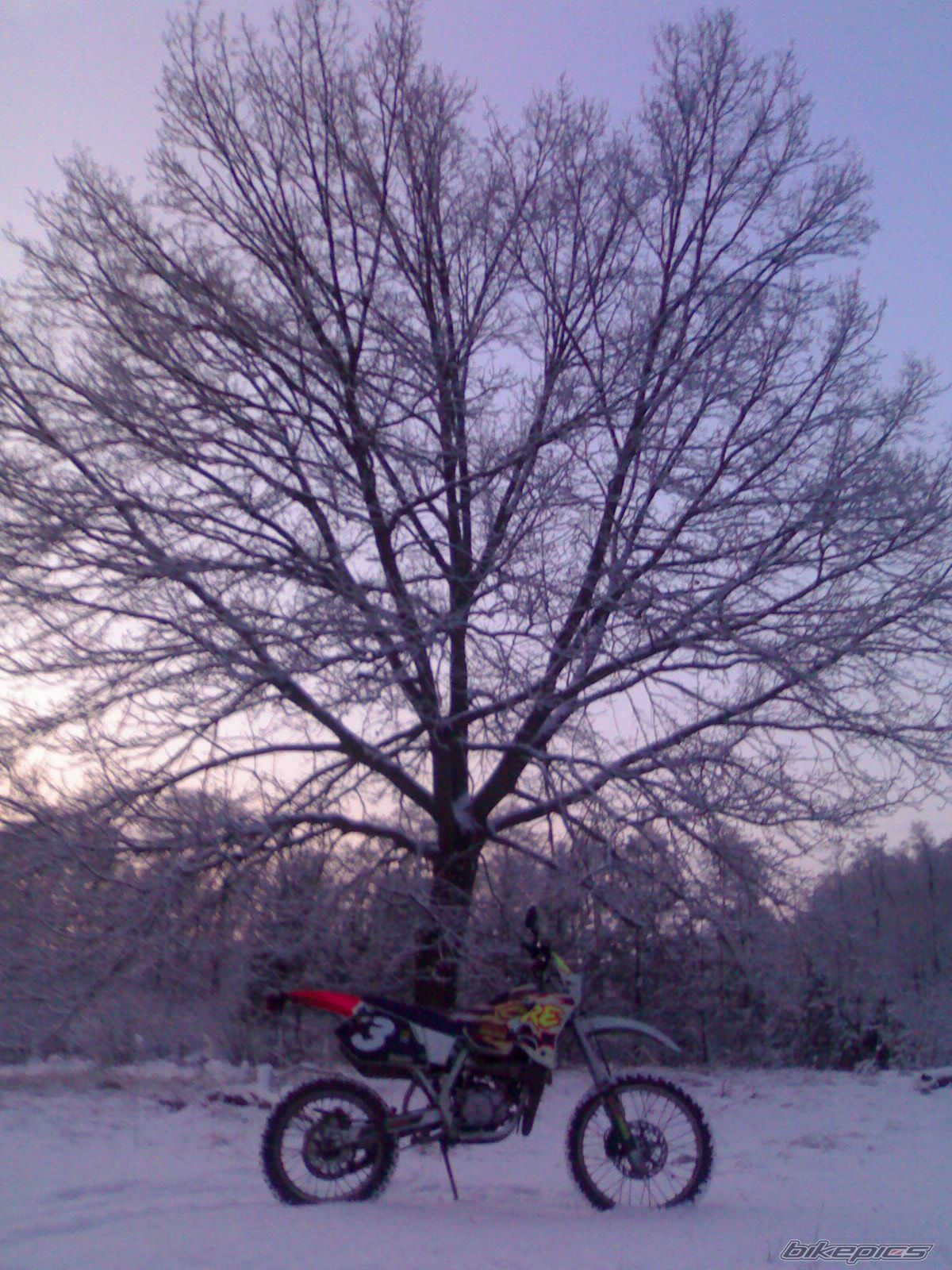 Bike Photo 1921118