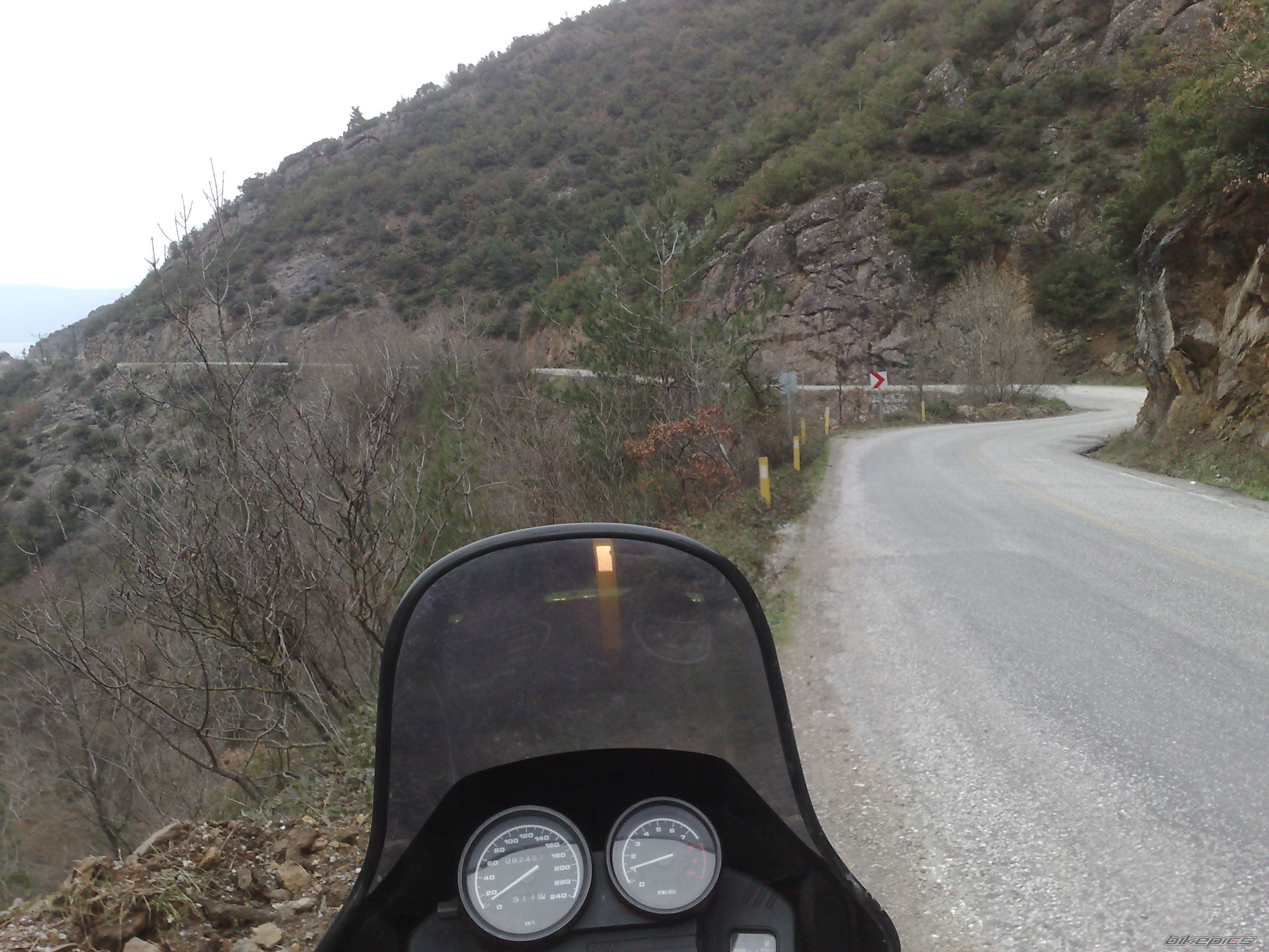 Photo 1921307