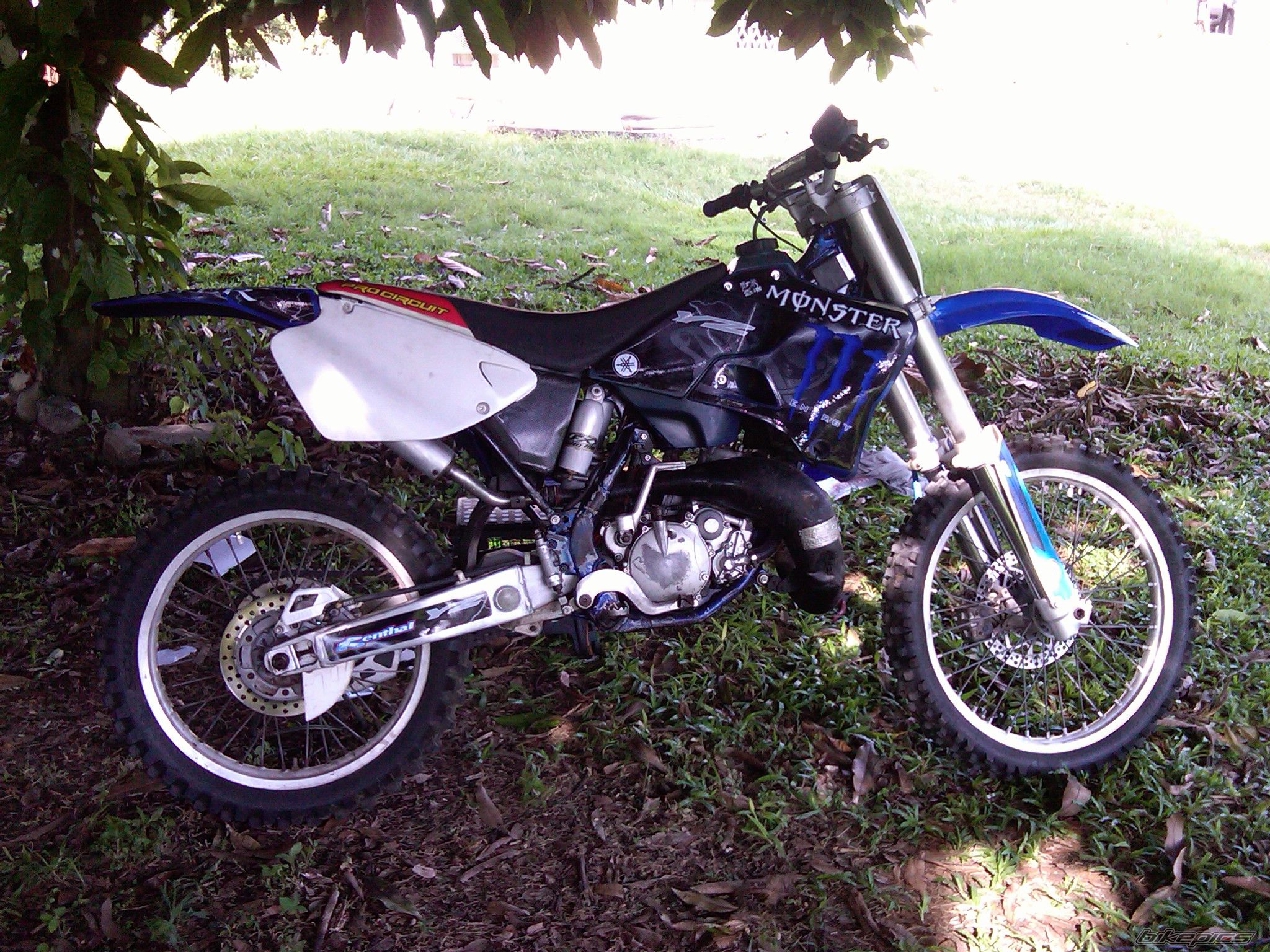 Bike Photo 1921321
