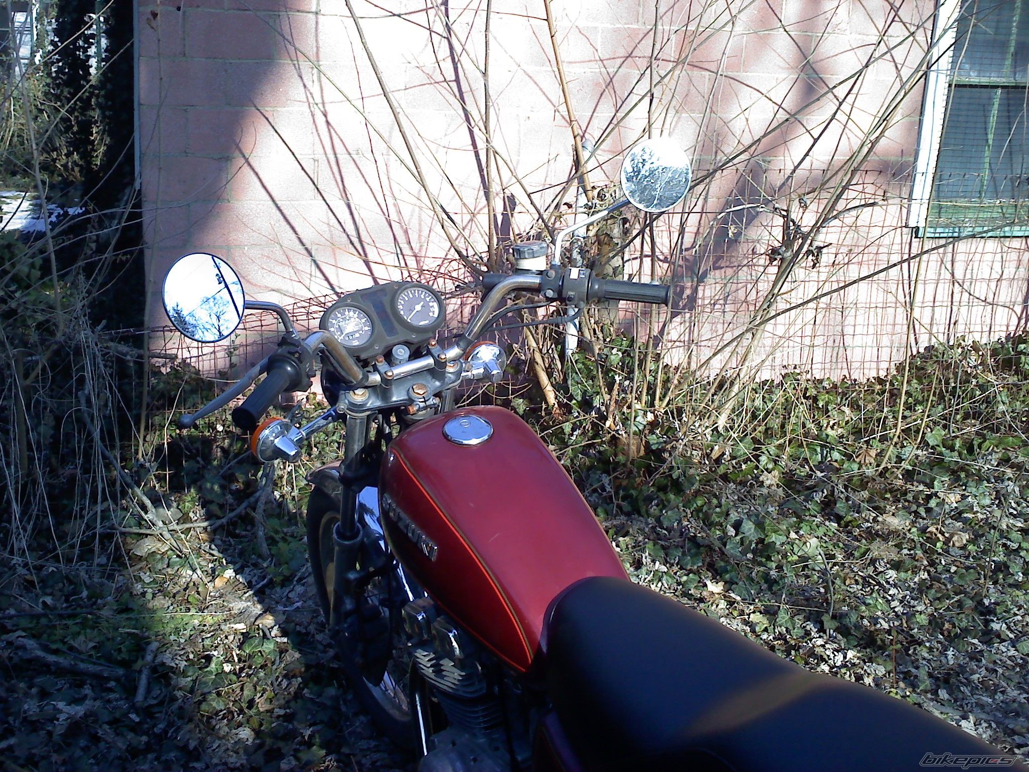 Photo 1921355