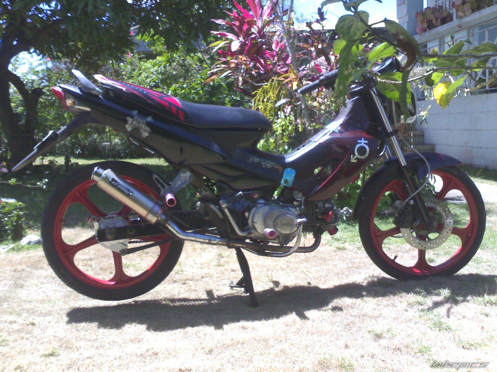 Photo 1921404