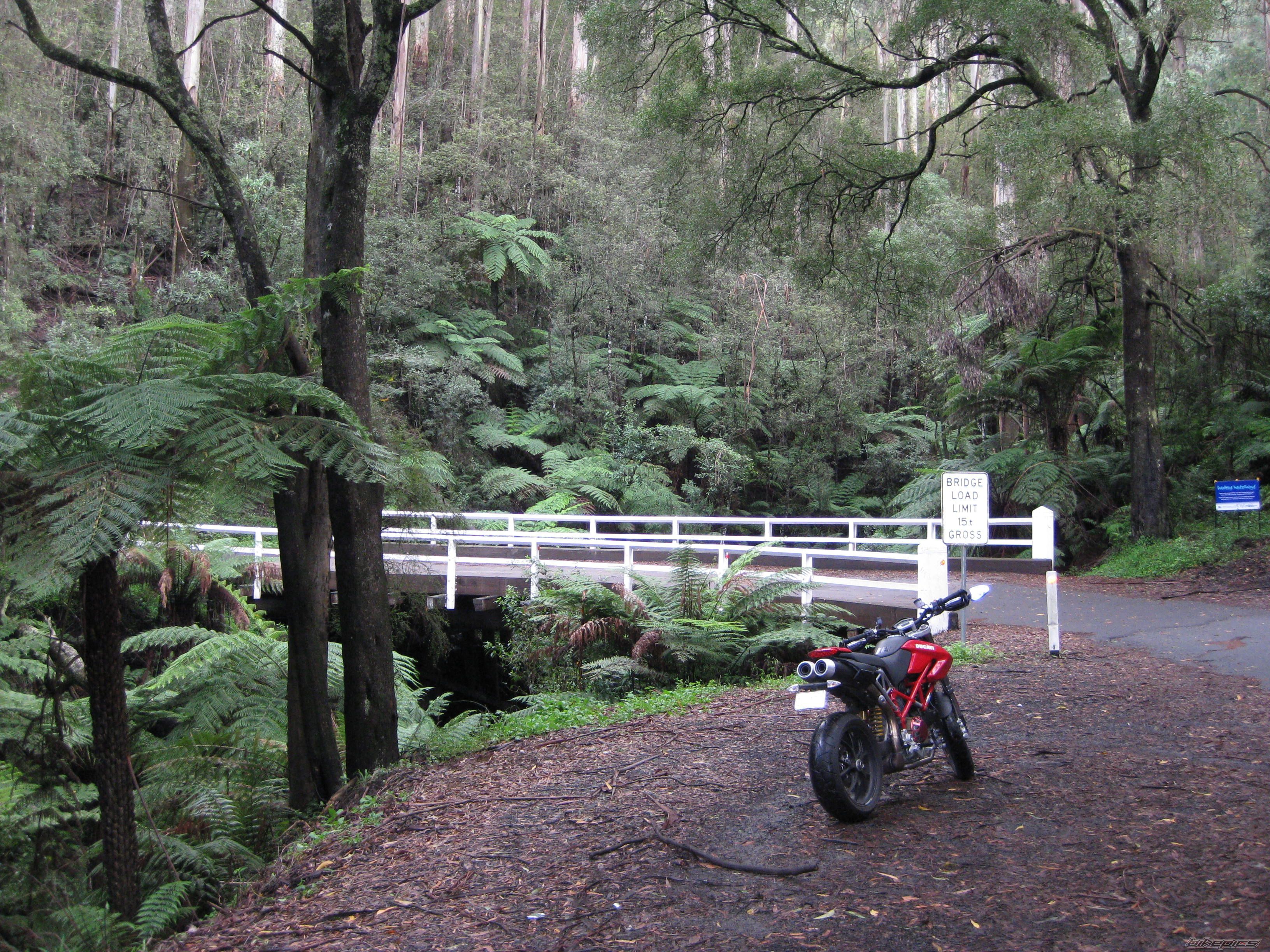 Bike Photo 1921419