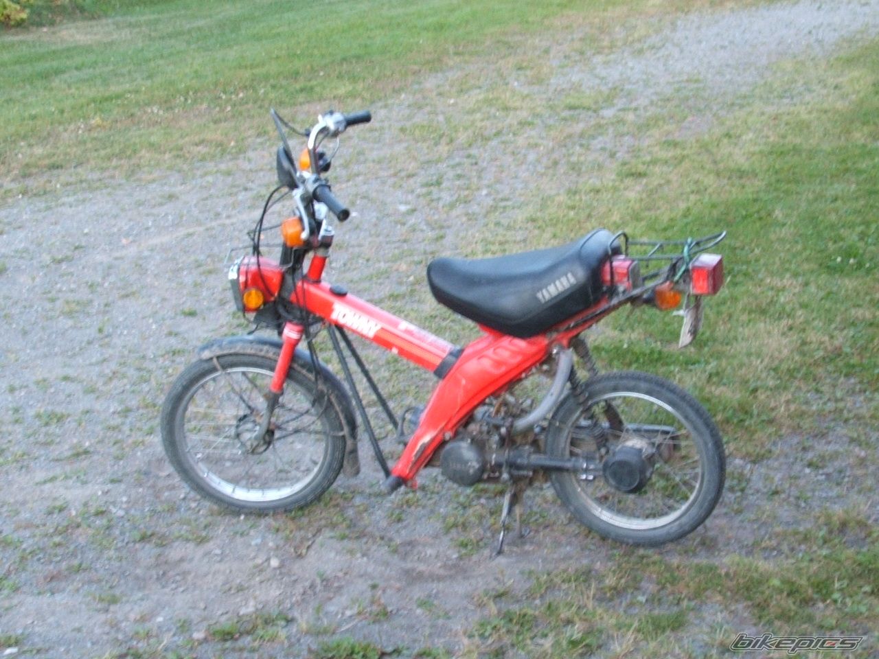 Photo 1921420