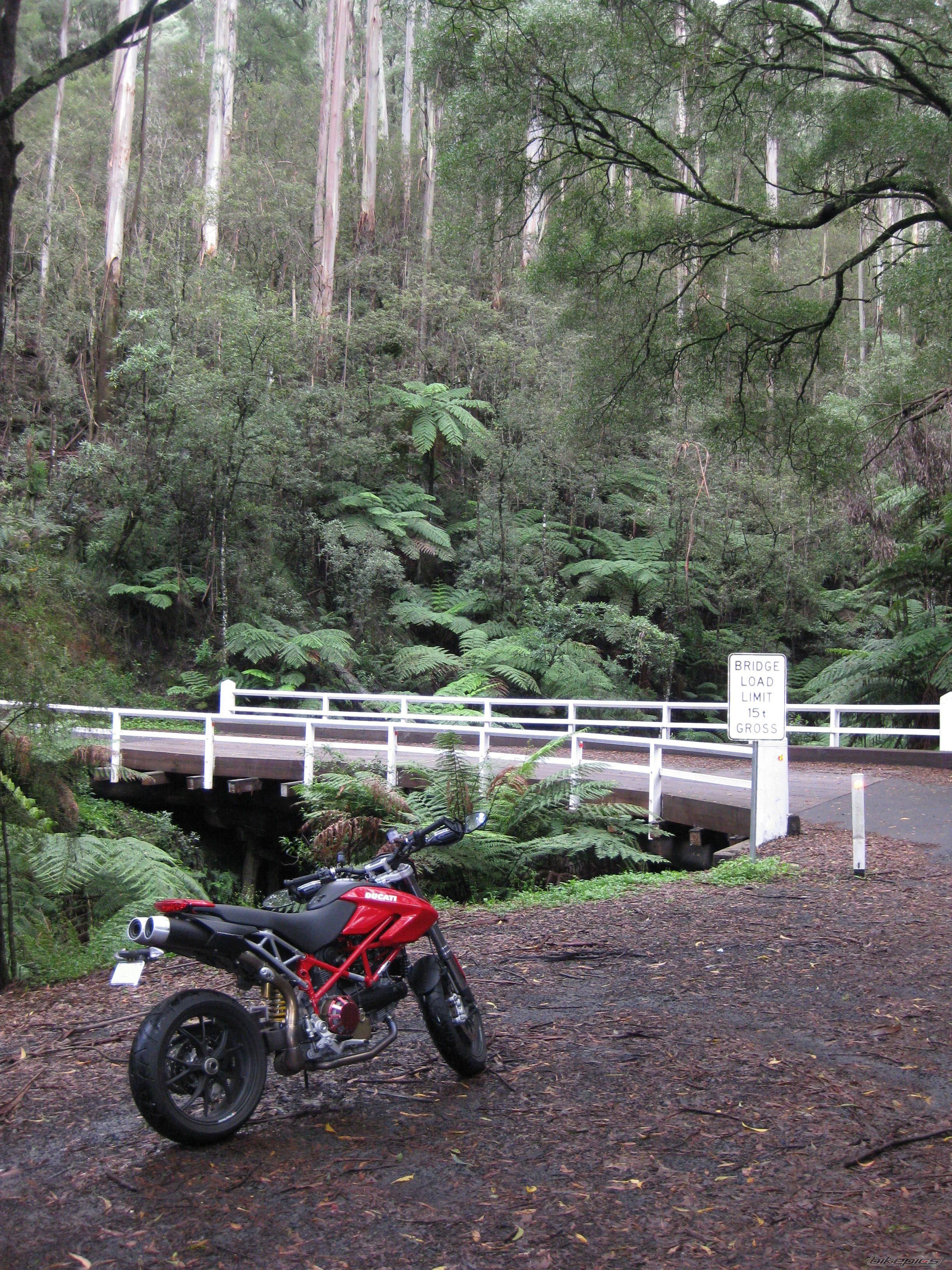 Bike Photo 1921421