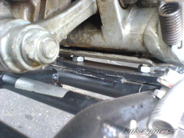 Photo 1921449