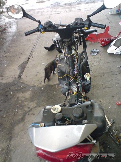 Bike Photo 1921518