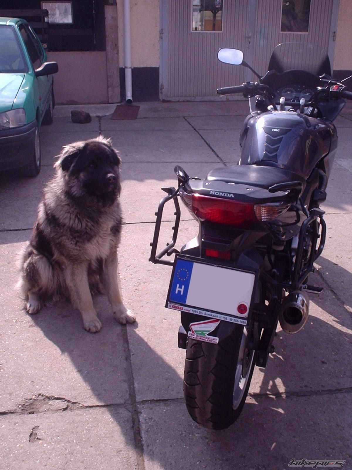 Bike Photo 1921904