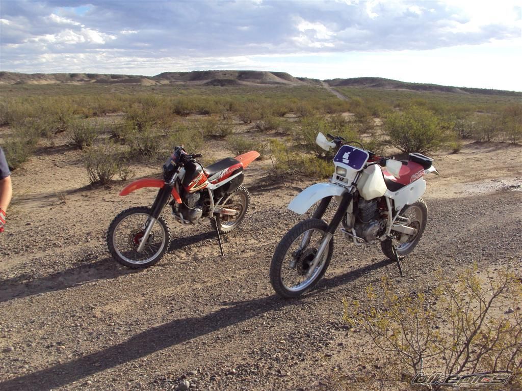 Bike Photo 1921954
