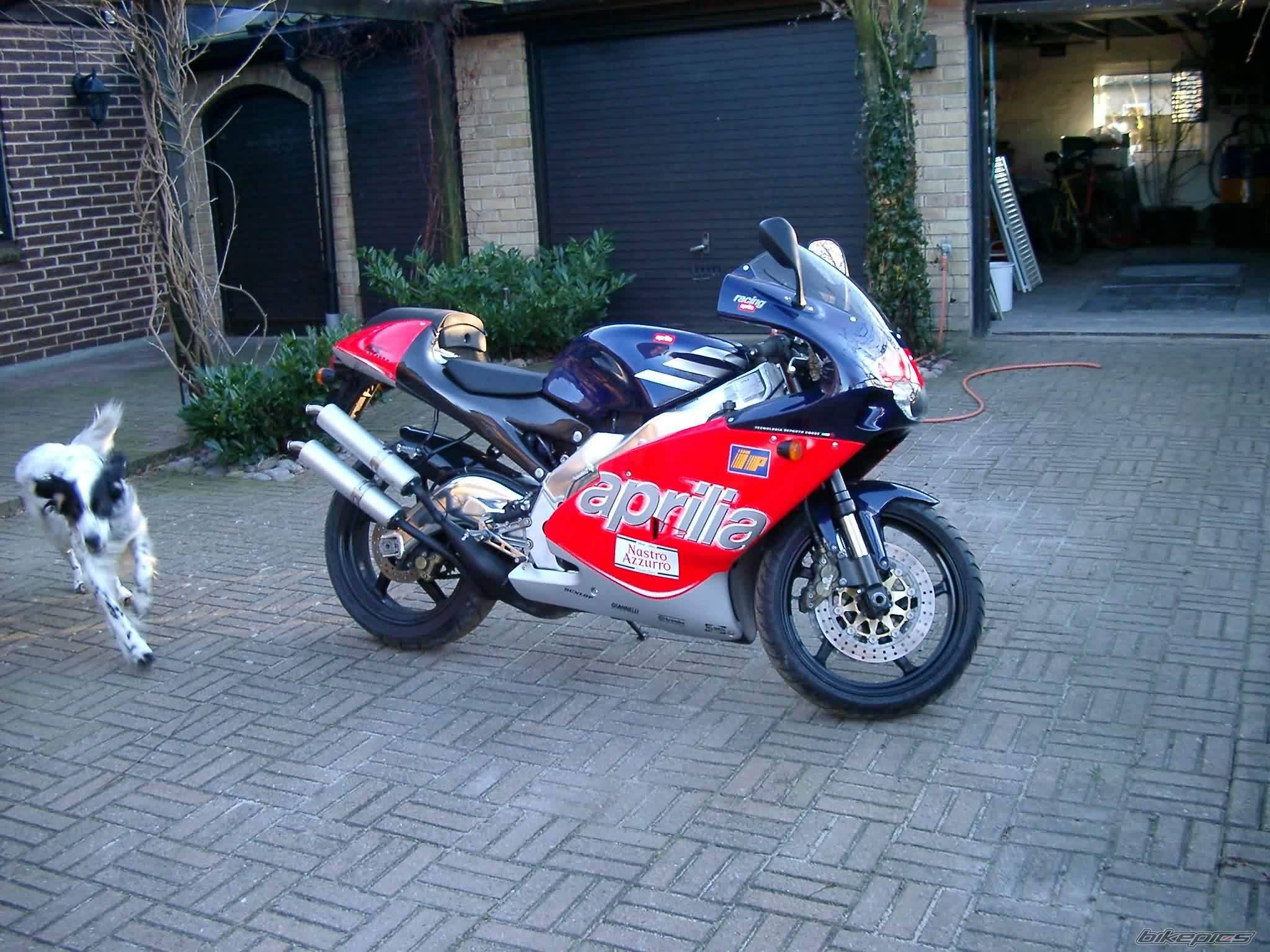 Bike Photo 19220