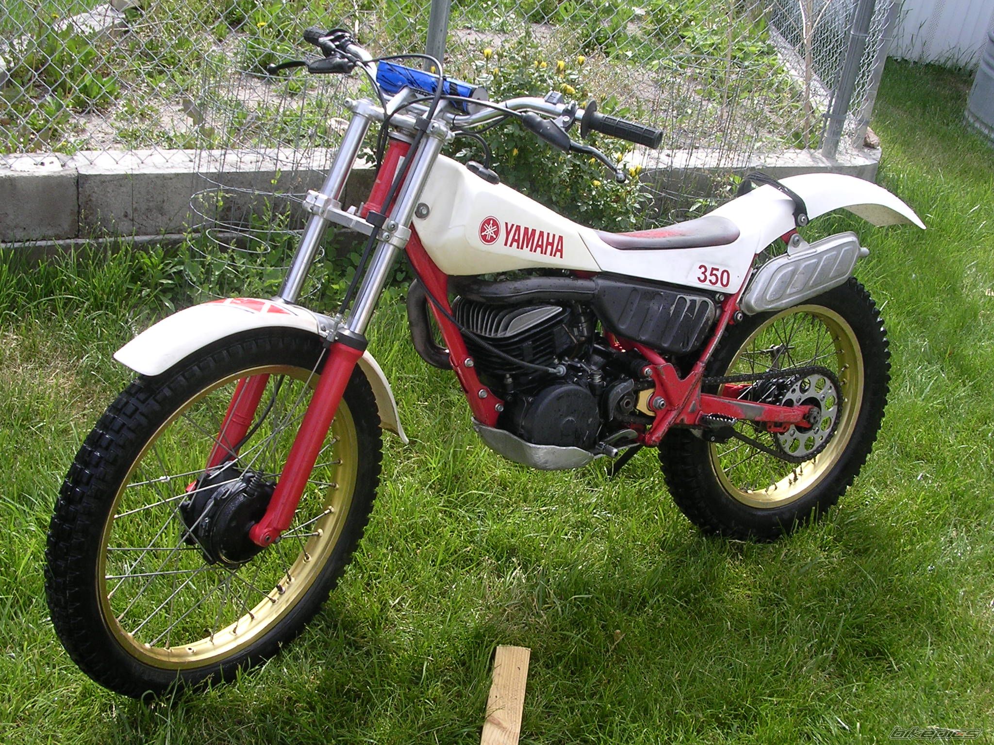 Bike Photo 1922007