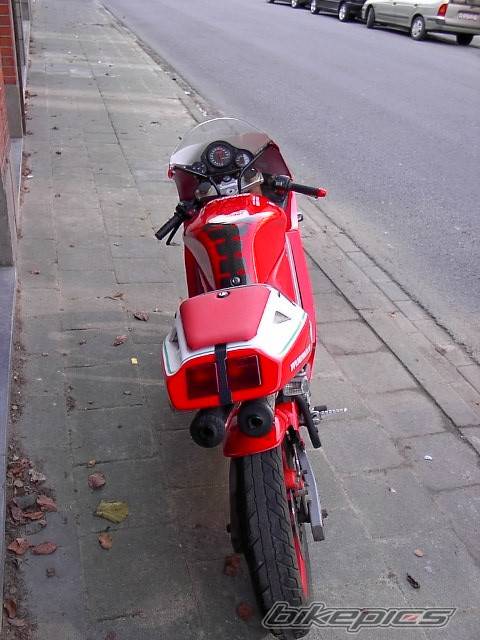 Photo 19221