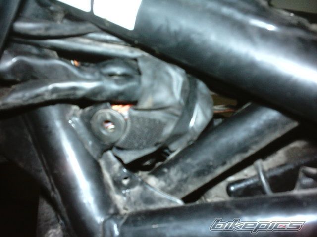 Photo 1922406