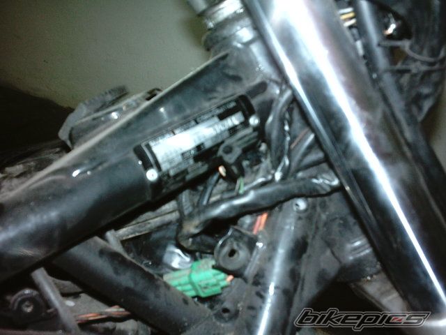 Photo 1922407