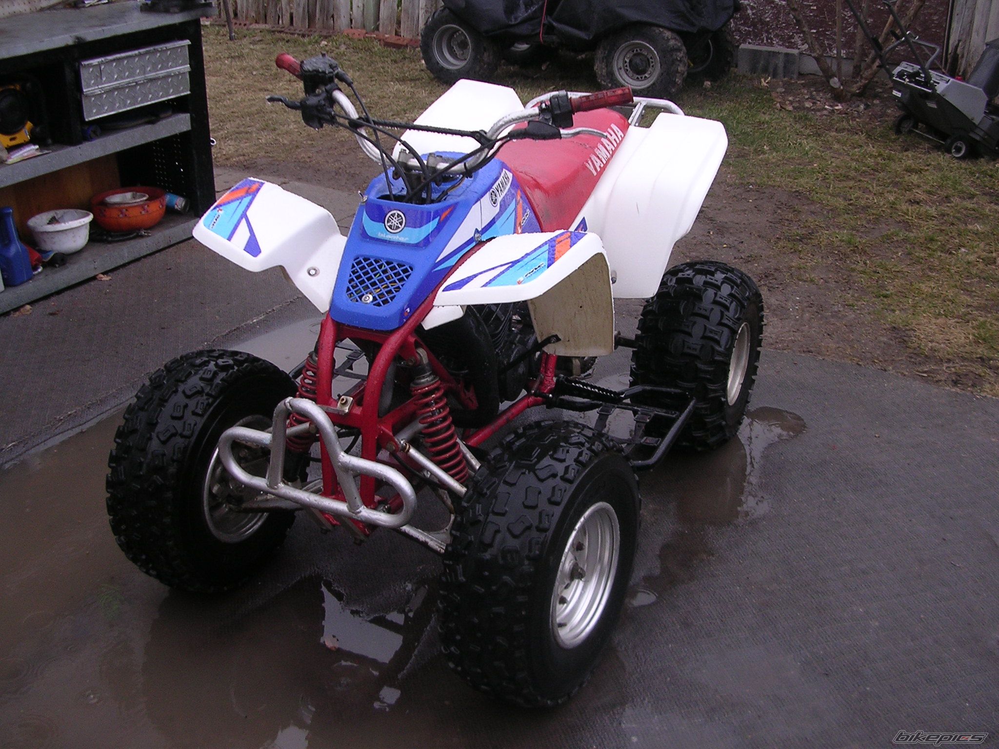 Photo 1922673