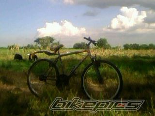 Photo 1922719