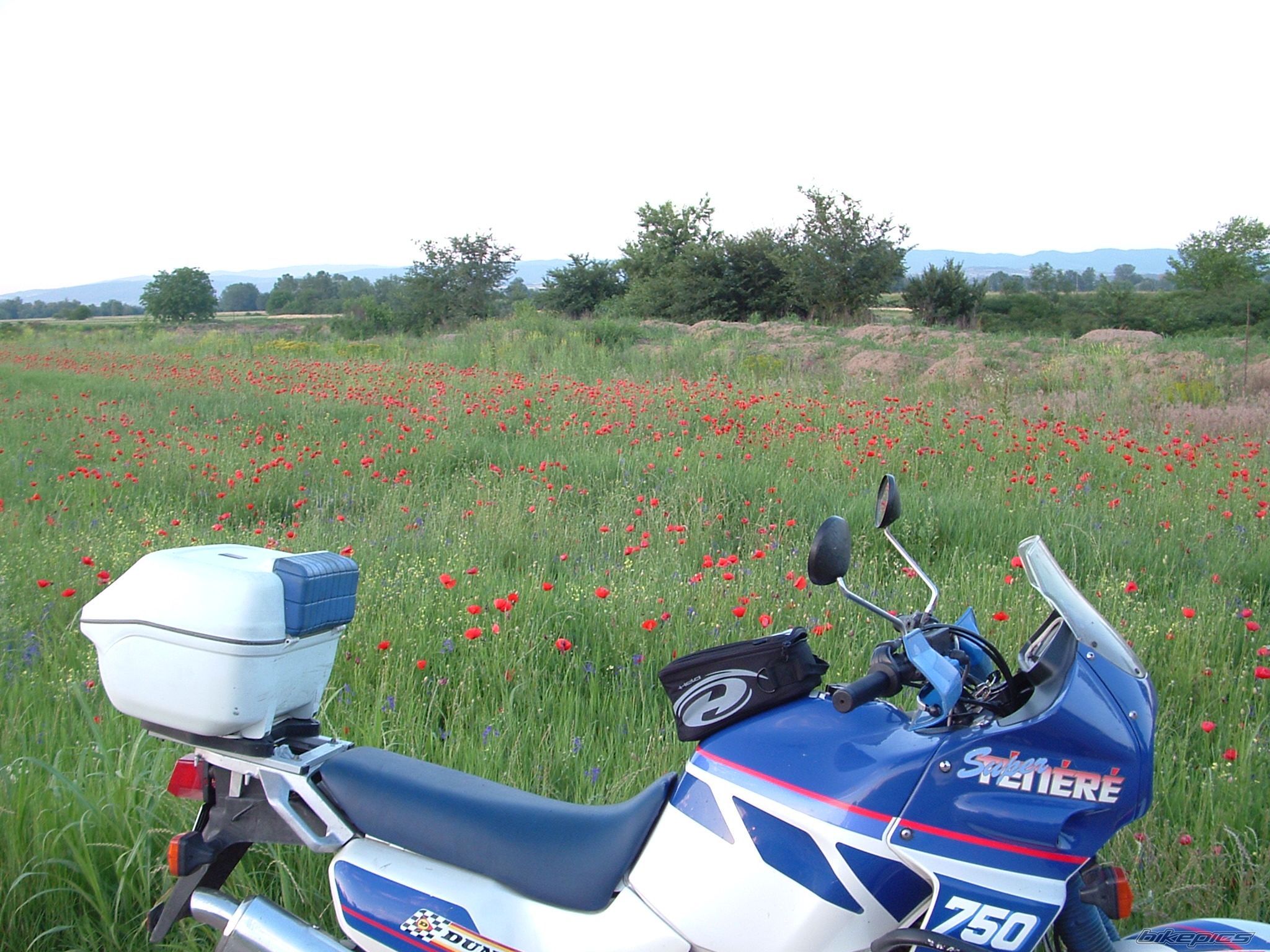 Bike Photo 1922742
