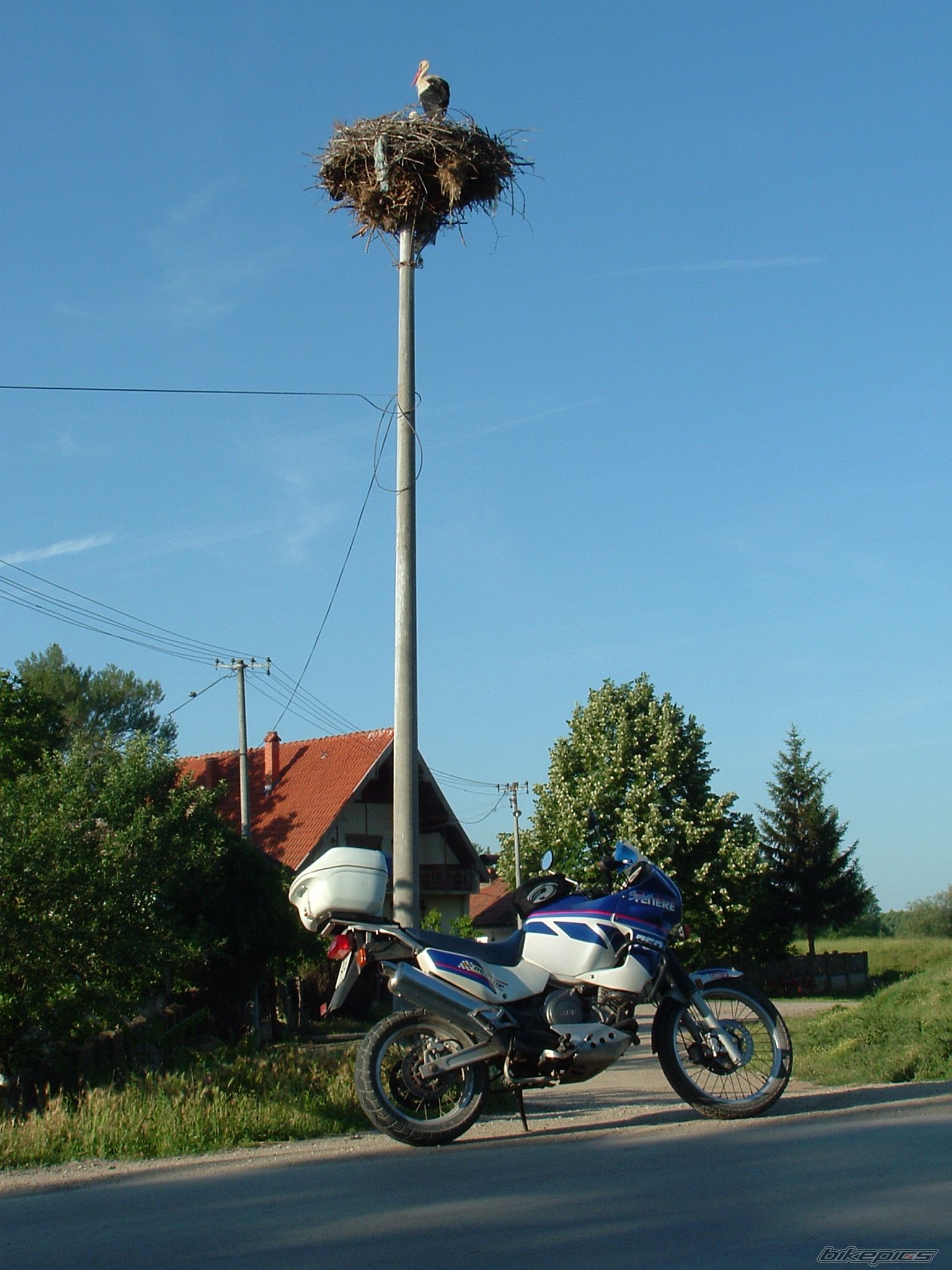 Photo 1922746