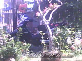 Photo 1922820