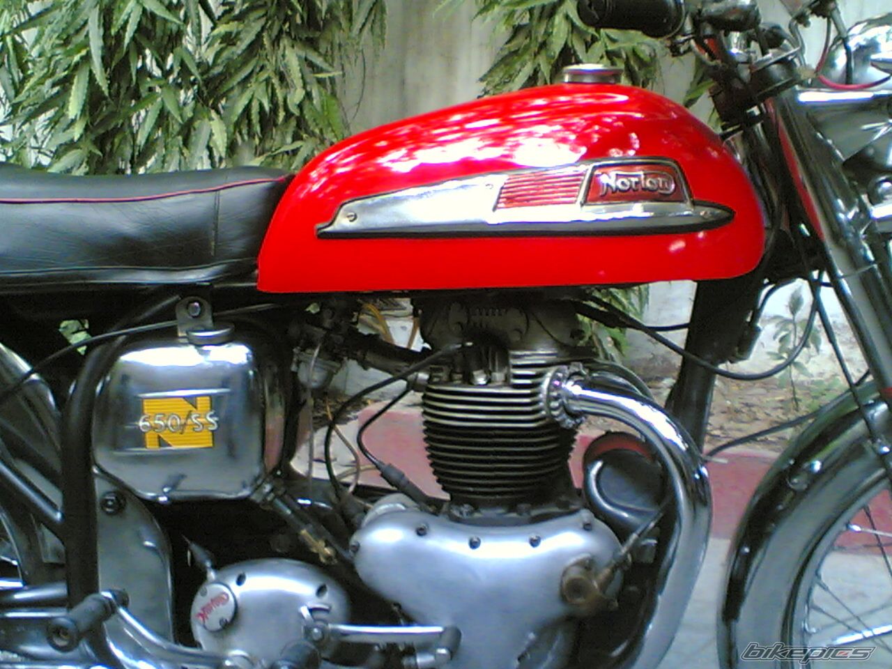 Bike Photo 1923250