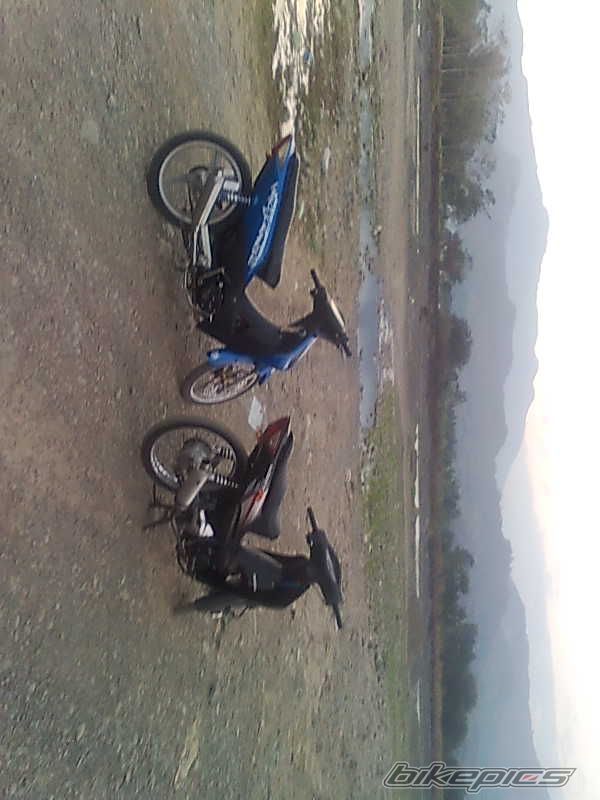 Photo 1923469