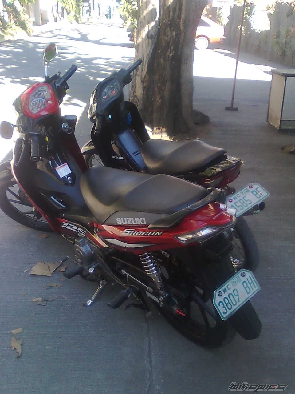 Photo 1923475