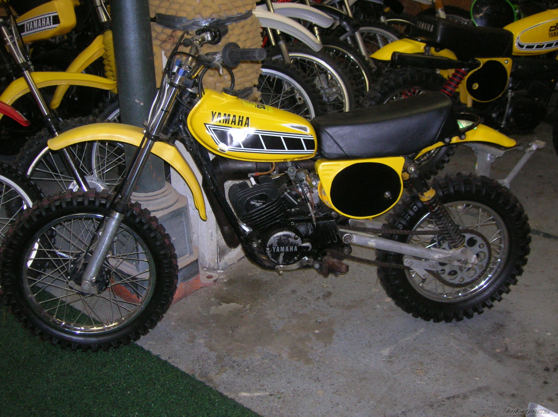 Photo 1923605