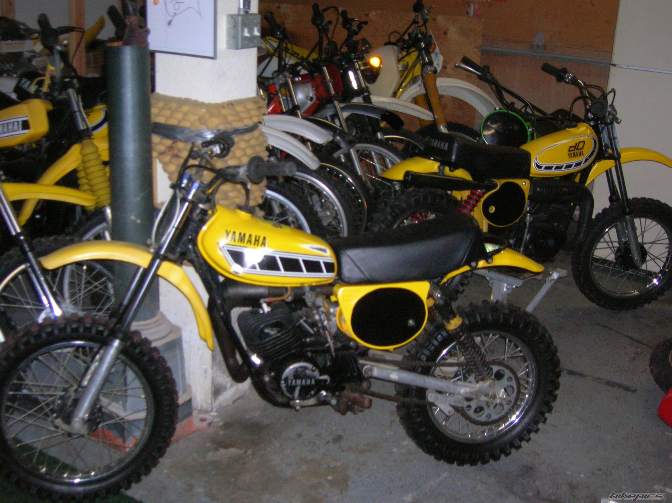 Photo 1923608