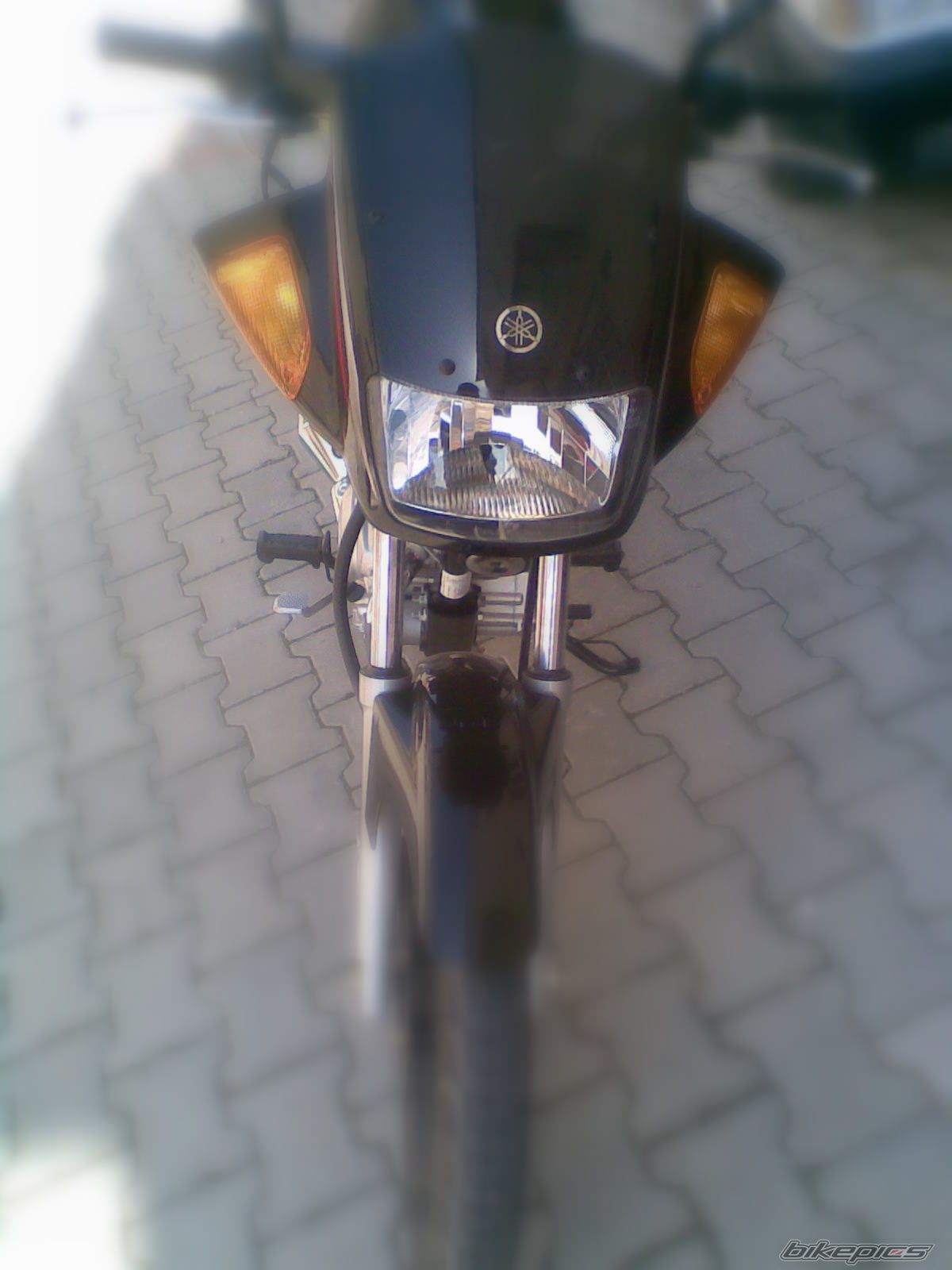 Photo 1923771