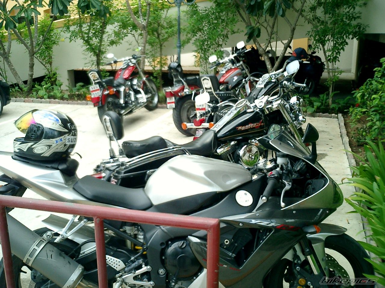 Photo 1923935