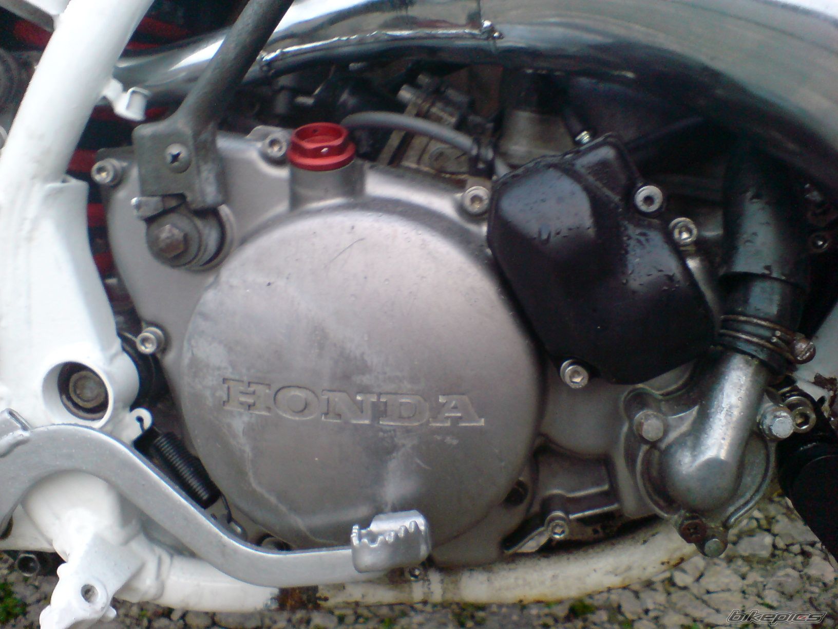 Photo 1924277