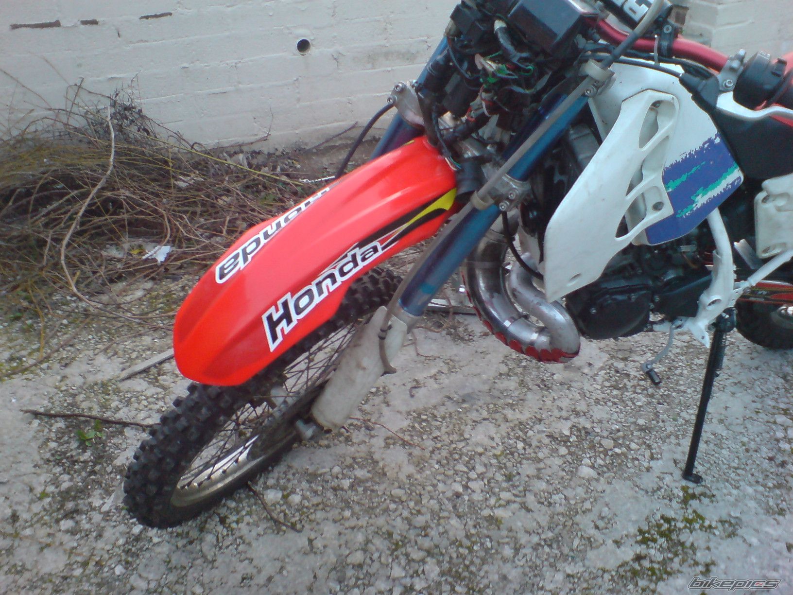 Photo 1924281
