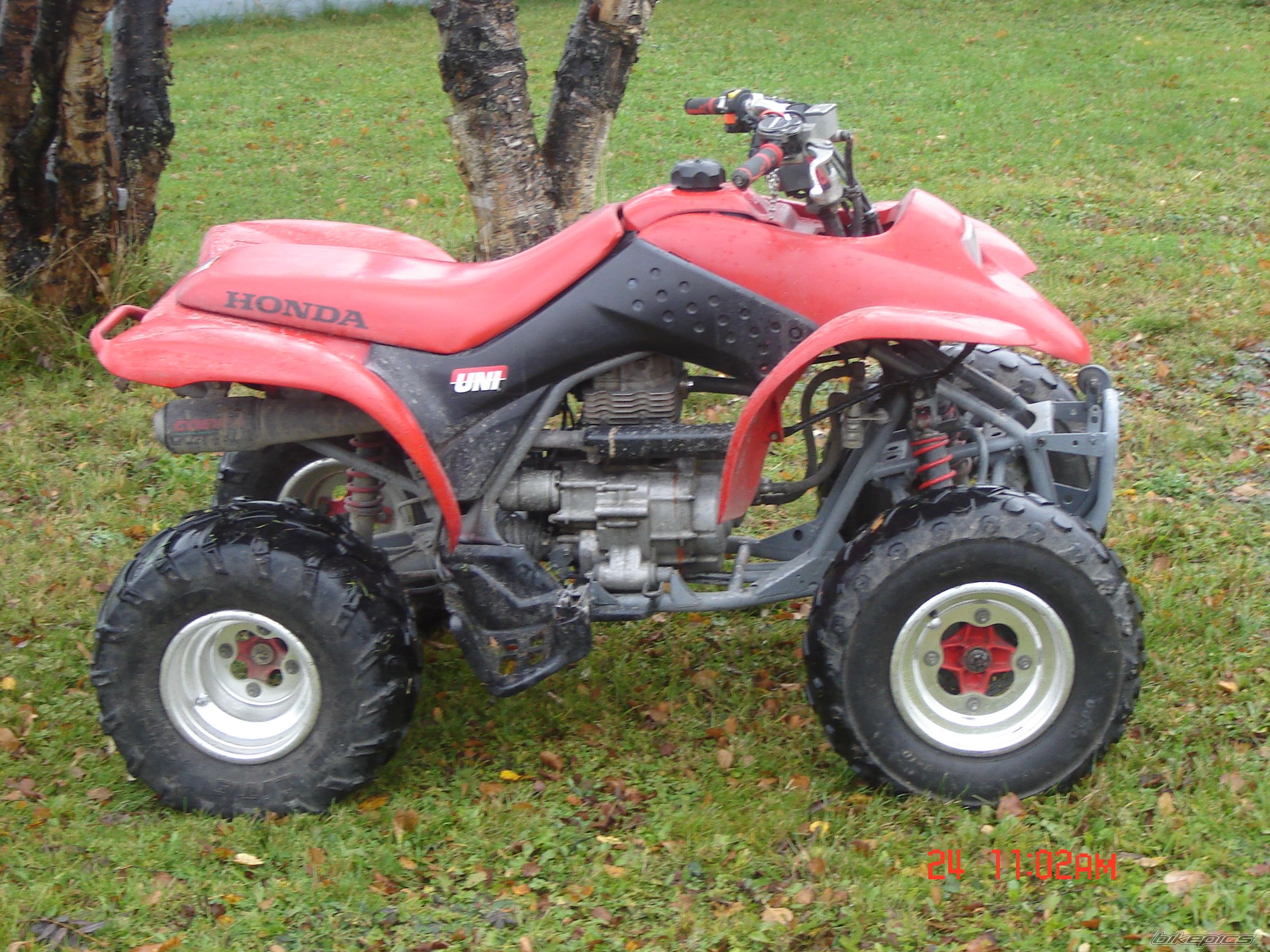 Photo 1924323
