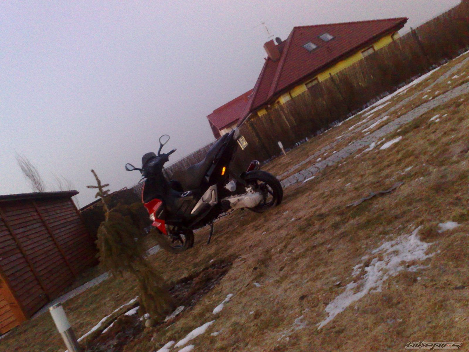 Photo 1924539