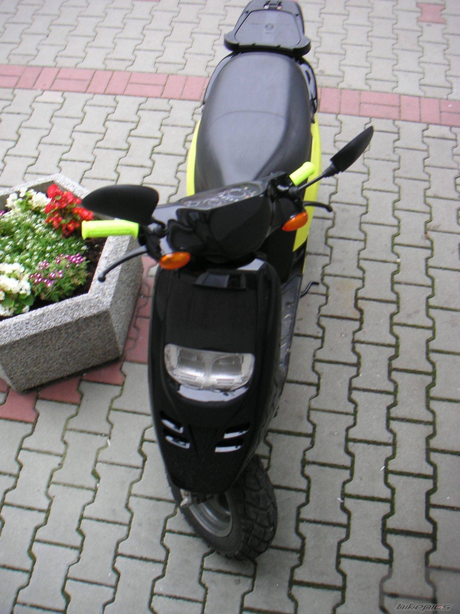 Photo 192461