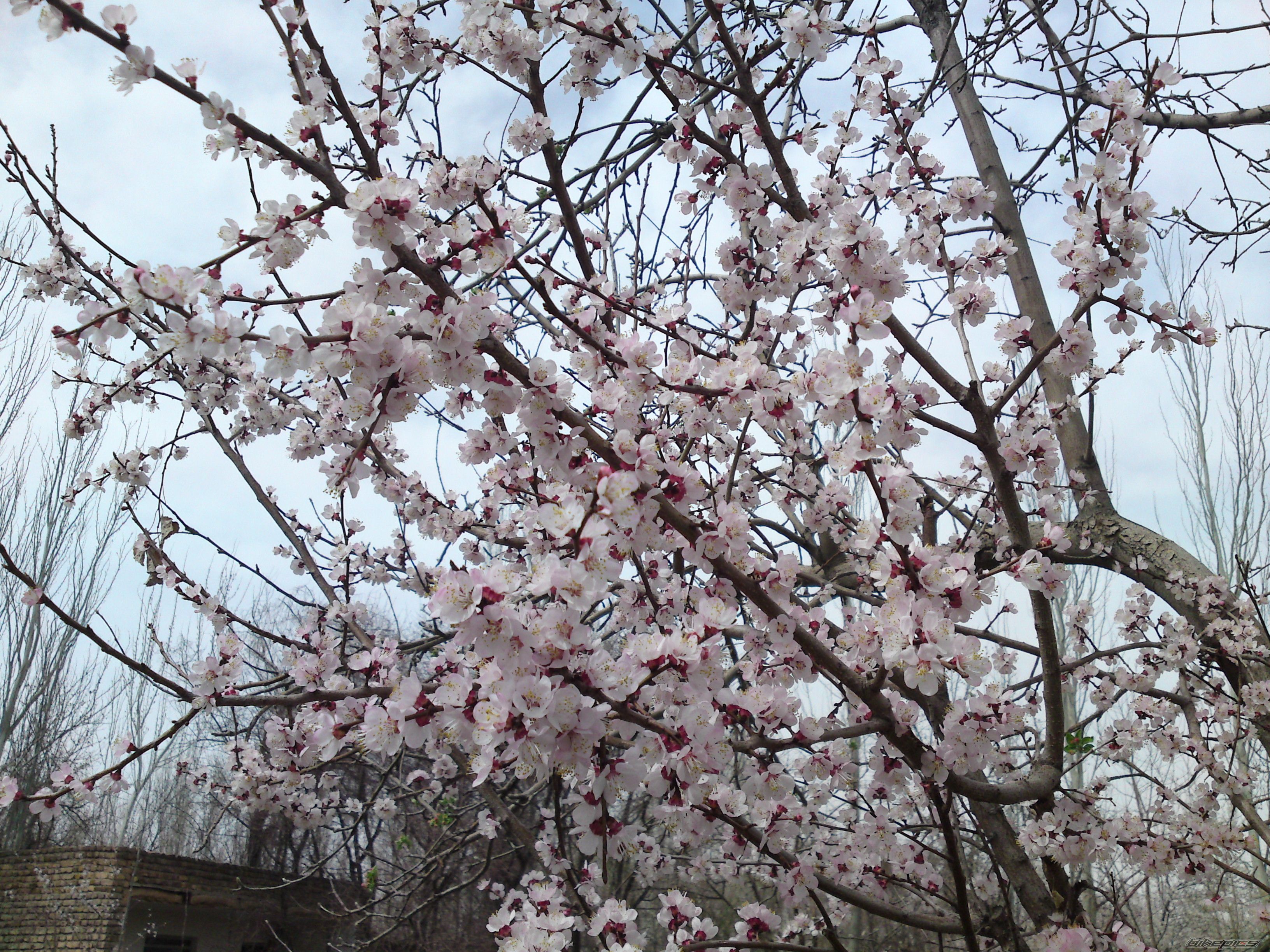 Photo 1924613