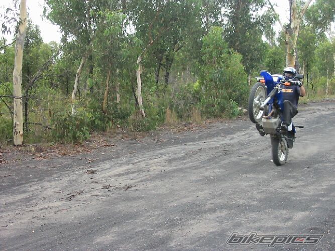 Bike Photo 1925058