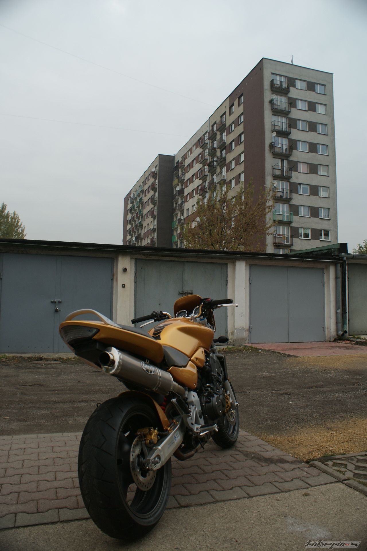 Photo 1925245