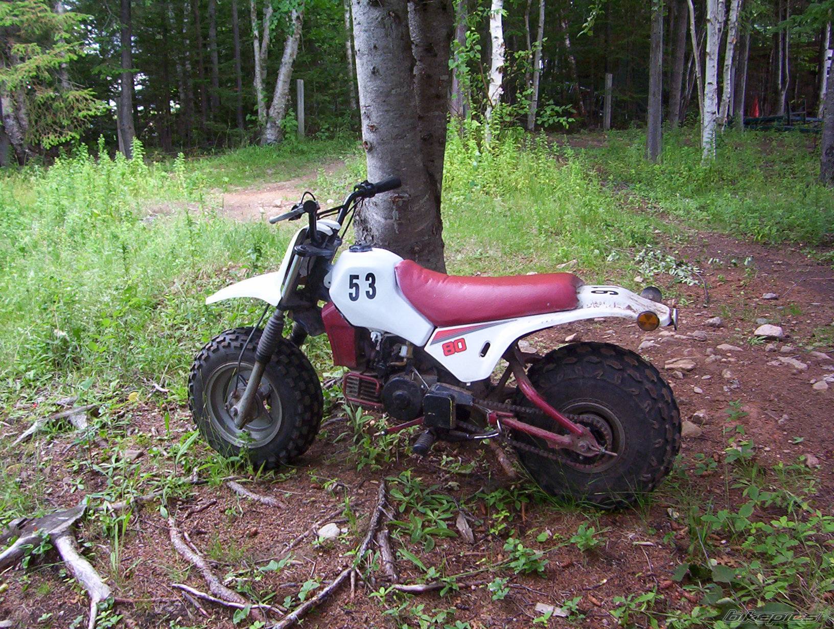 Photo 192545