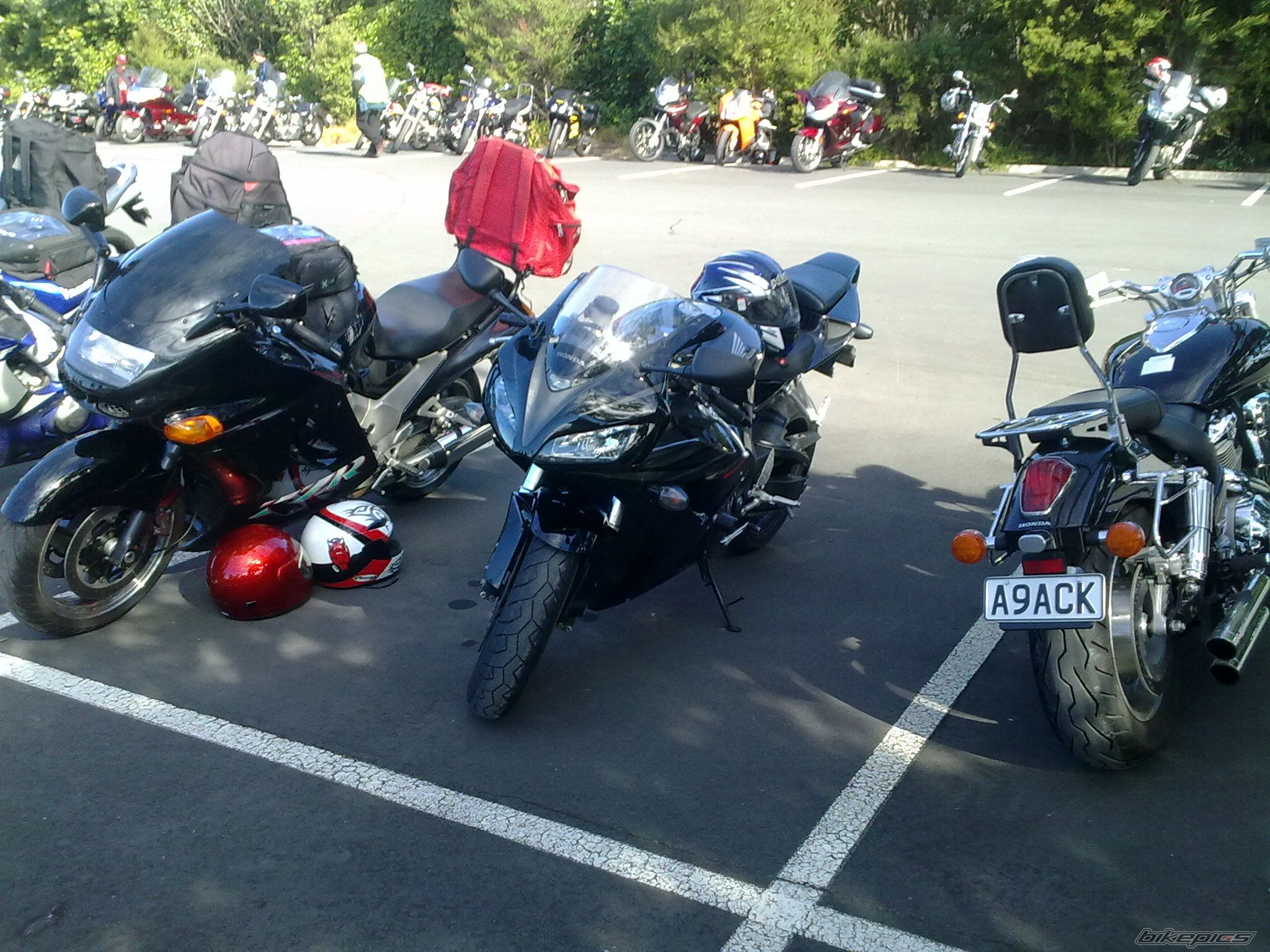 Photo 1925775